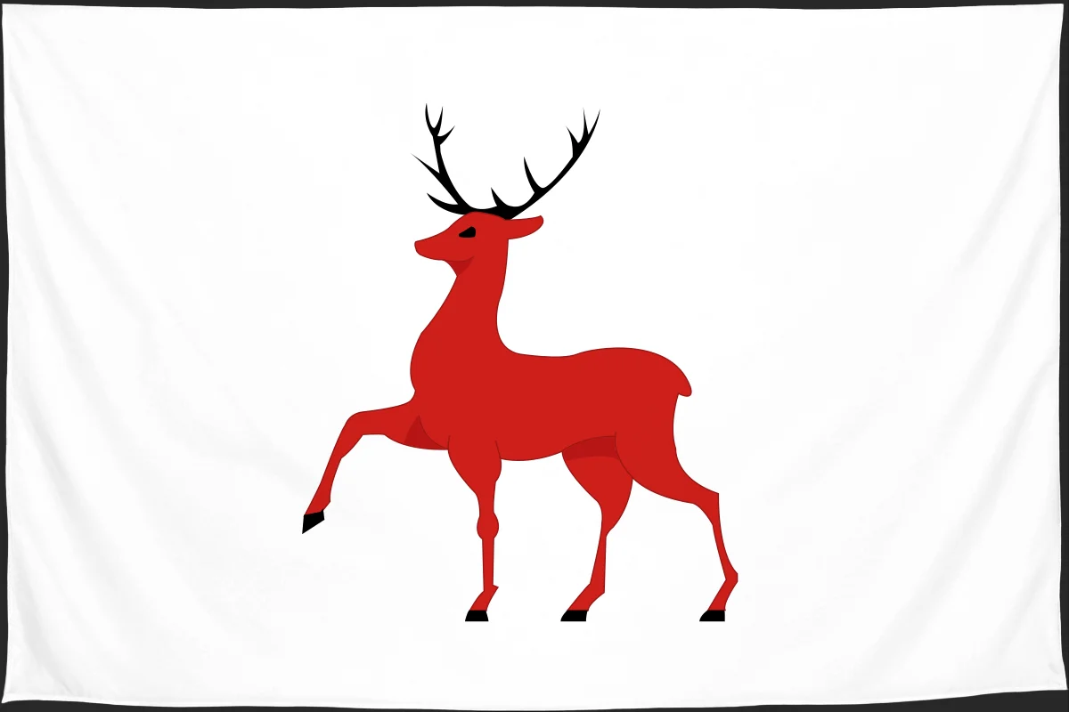 Флаг: Нижний Новгород